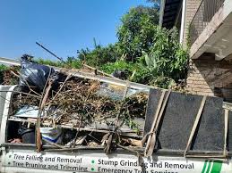 Best Electronics and E-Waste Disposal  in Sunnyvale, TX